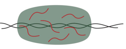 Project 16. Understanding the influence of eRNA association modes on transcriptional condensates.
